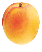 Apricot PNG-12648
